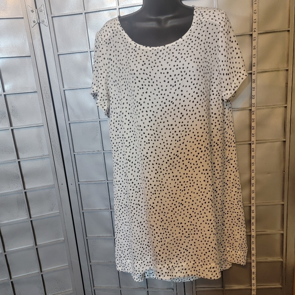 Glassons size 14 white with blue dots long blouse